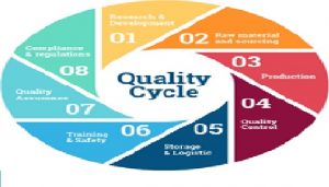 Quality Circle Management
