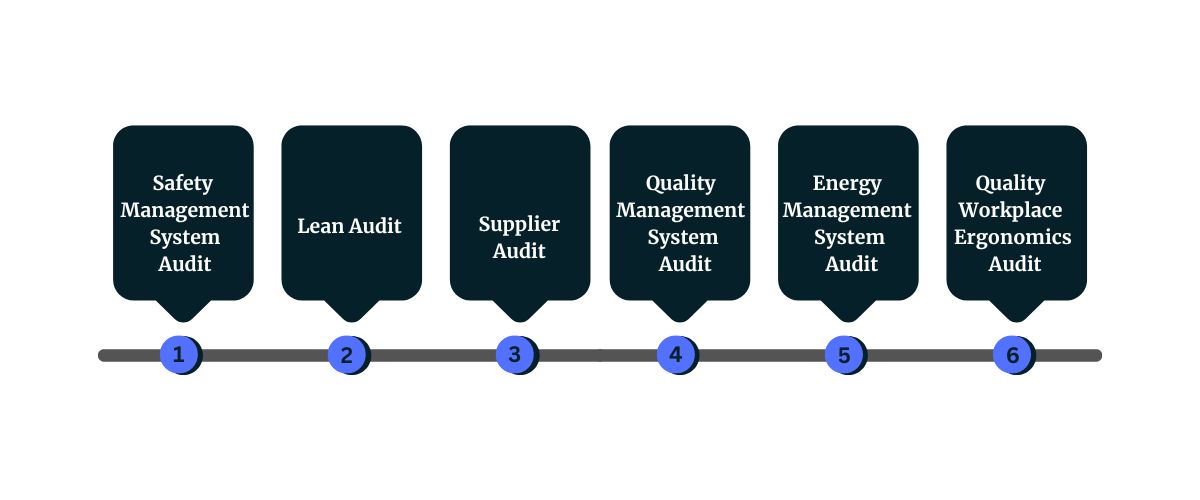 Types of manufacturing audit 